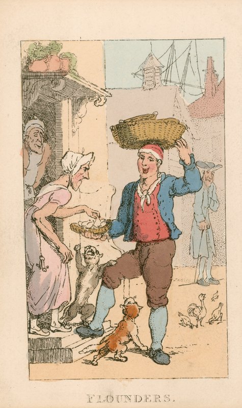 Plies - Thomas Rowlandson