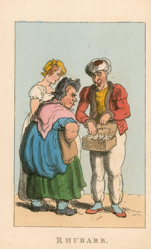 Rhubarbe - Thomas Rowlandson
