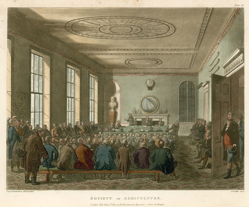 Société d