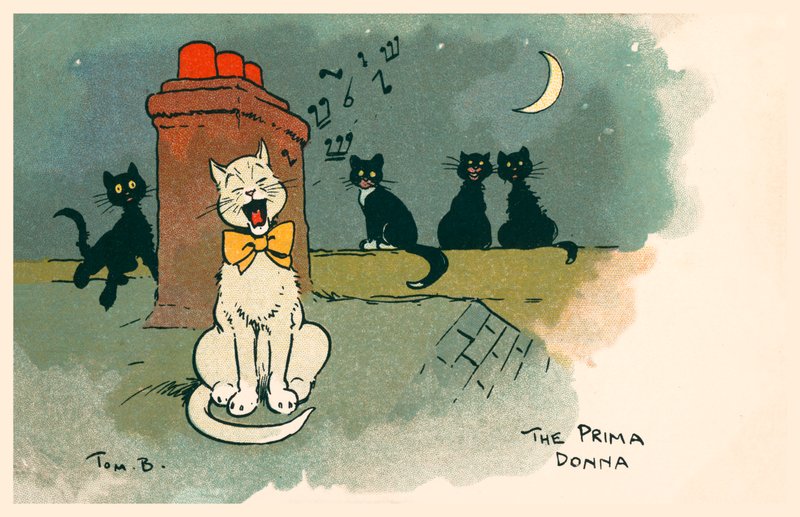 La Prima Donna - Tom Browne