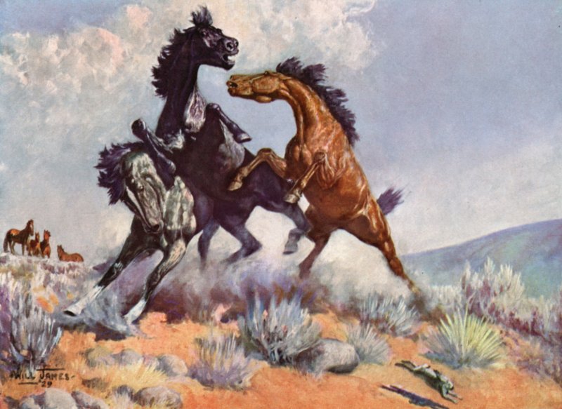Smoky le cheval vache - Unbekannt Unbekannt