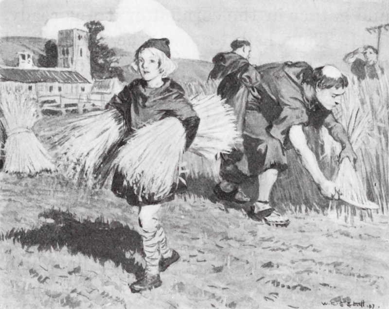 Bède dans le champ de récolte (lithographie) - W.R.S. (after) Stott