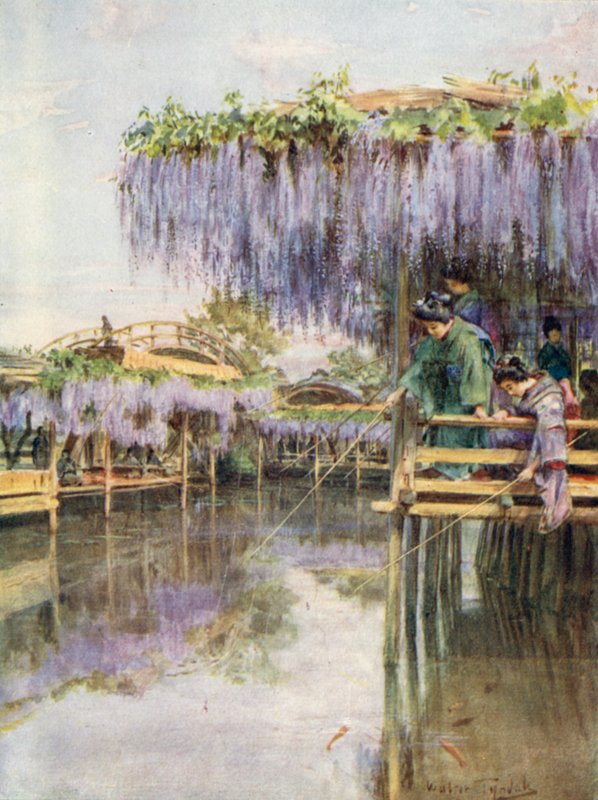 Glycine à Kameido - Walter Frederick Roofe Tyndale