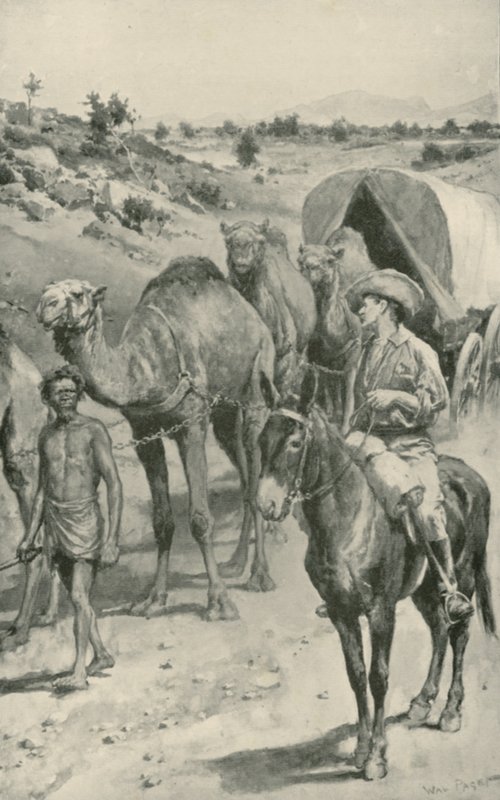 Une caravane de chameaux, Australie occidentale - Walter Stanley Paget