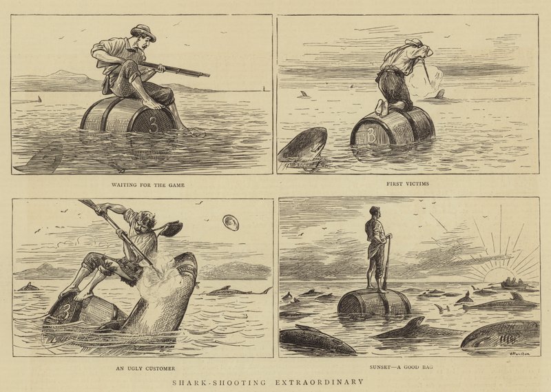 Tir de requin extraordinaire - William Ralston