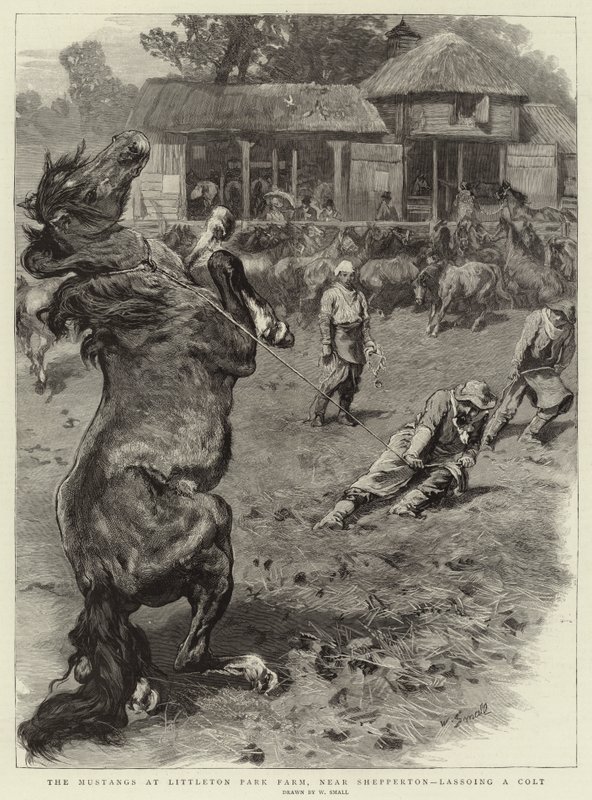 Les Mustangs à Littleton Park Farm, près de Shepperton, attrapant un poulain - William Small