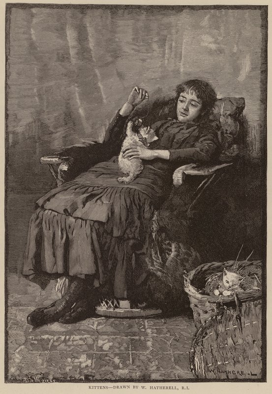 Chatons - William (after) Hatherell