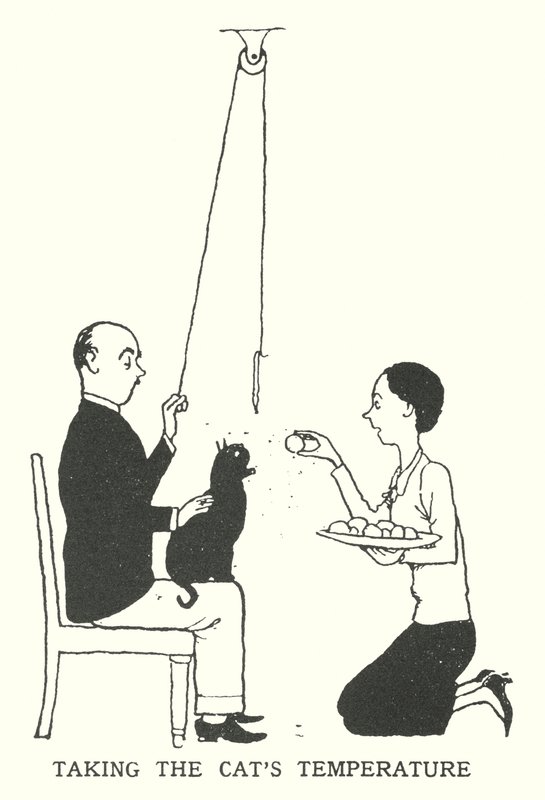 Prendre la température du chat (lithographie) - William Heath Robinson