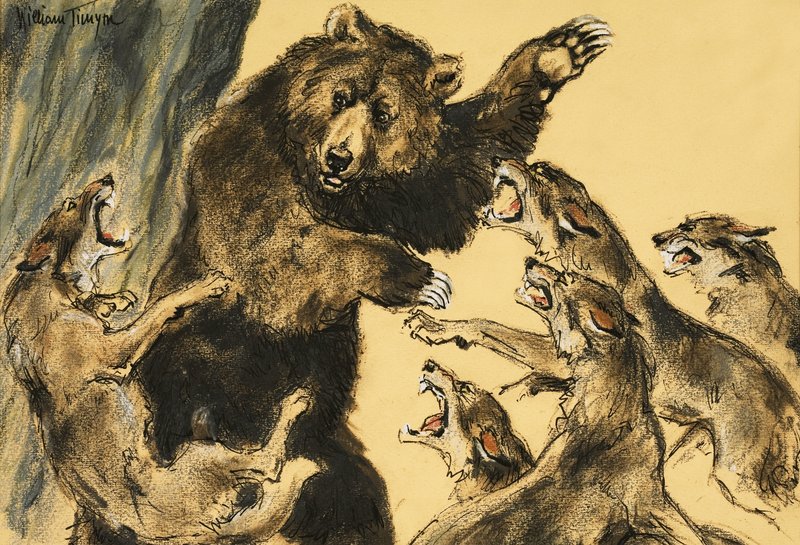 Ours combattant les loups - William Timyn