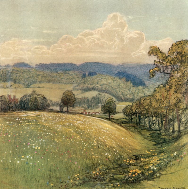 Sussex - after Donald Maxwell